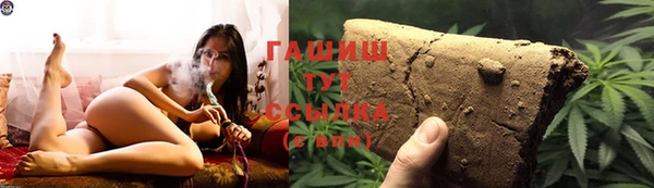 прущие грибы Аркадак