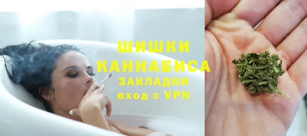 прущие грибы Аркадак