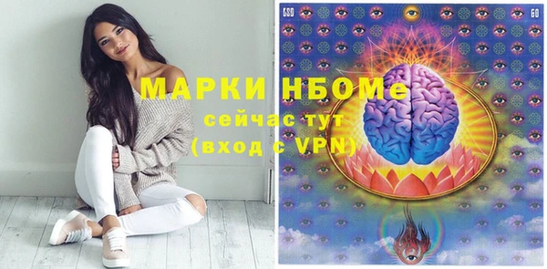 прущие грибы Аркадак