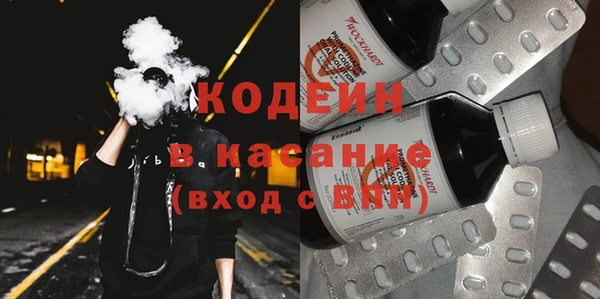 прущие грибы Аркадак
